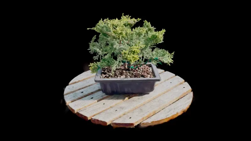 Topoformer Generator Plugin User Interface For Cinema 4D by Merk